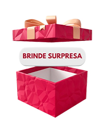 Brinde Surpresa 7